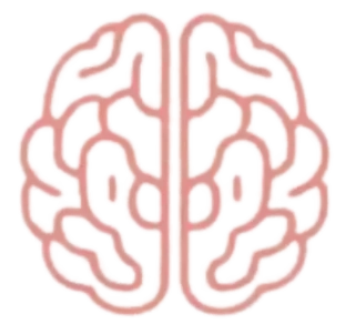 Brain Balance logo